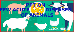 PPT  ACUTE  CASE ON   DISEASES   OF ANIMALS