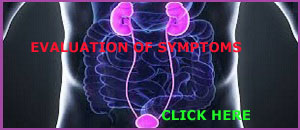 PPT ON EVOLUTION OF SYMPTOMS